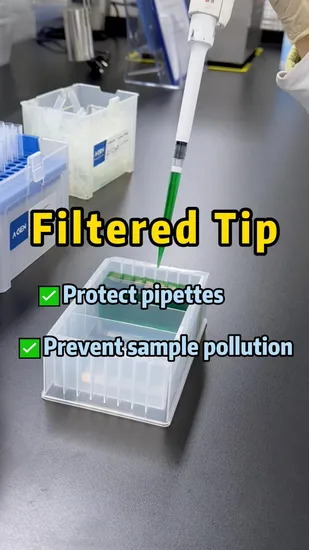 300μ L Clear Disposable Pipette Tips PP Material Lab Liquid Transfer Use 